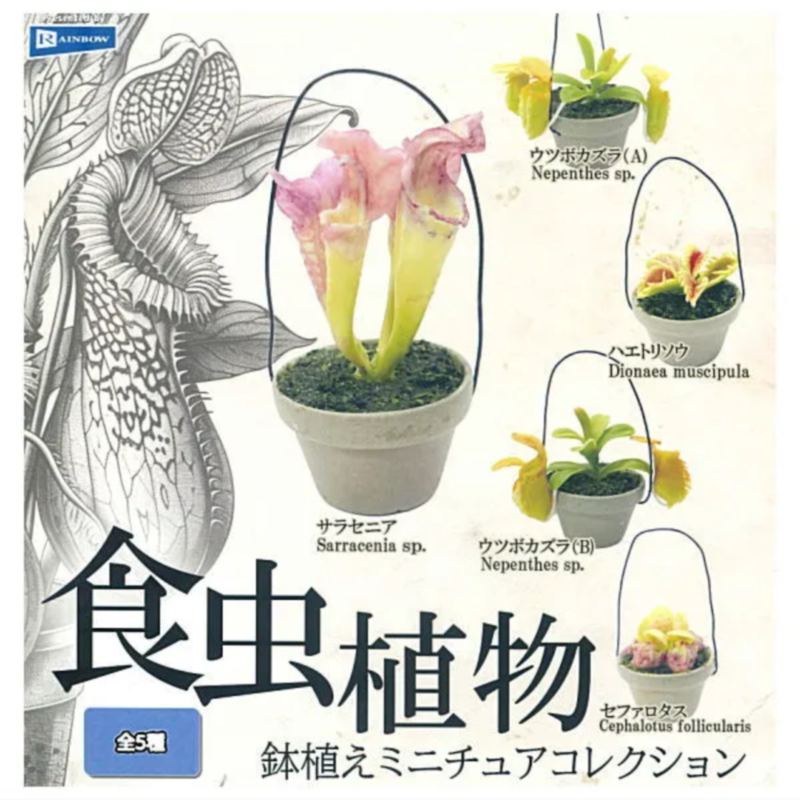 Japan Rainbow Gashapon Capsule - Capsule Toy Gashapon ulasan dan harga